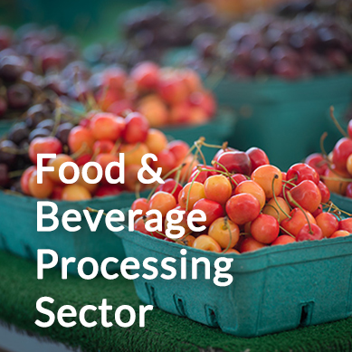 Agriculture Sector Overview