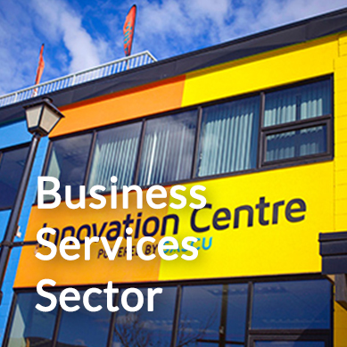 Business Services Sector